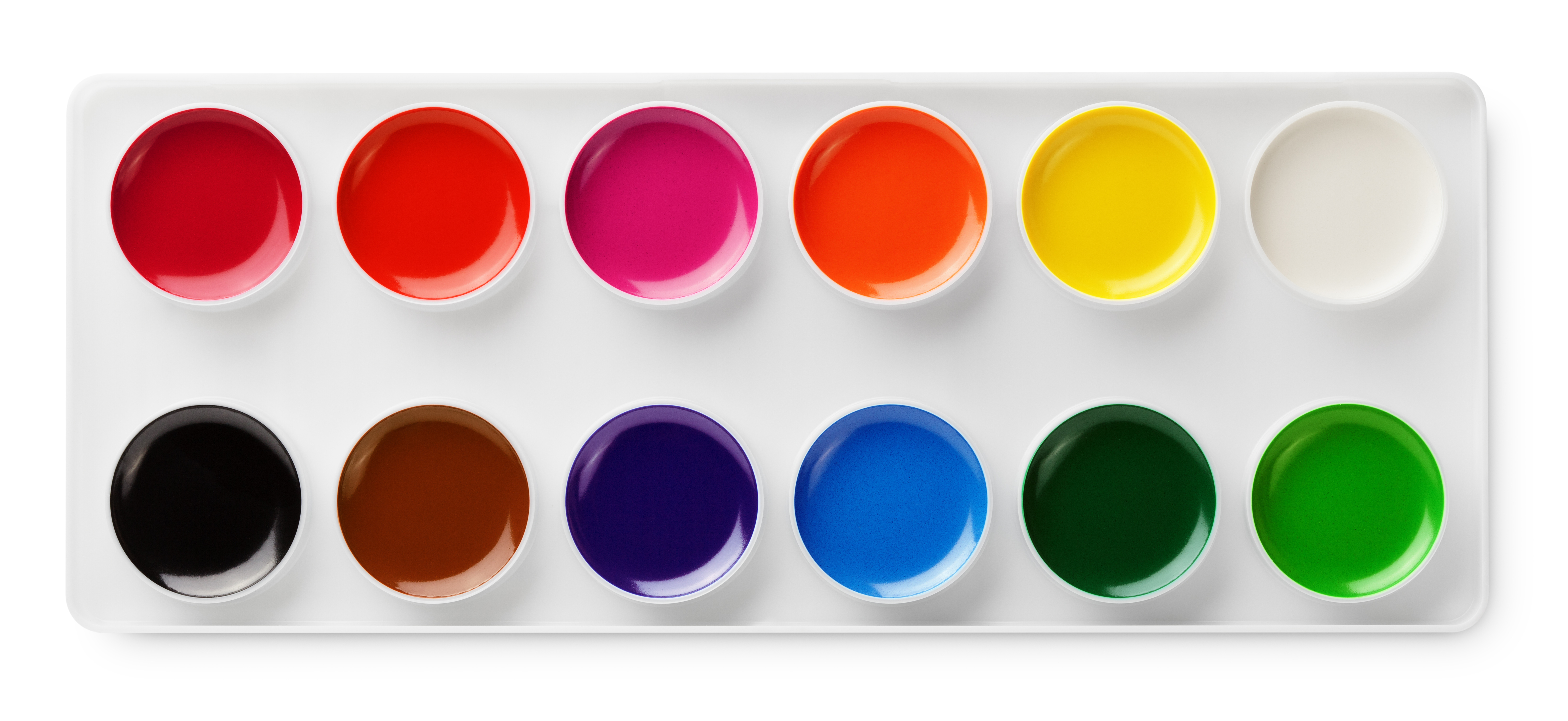watercolor paints in box isolated on white